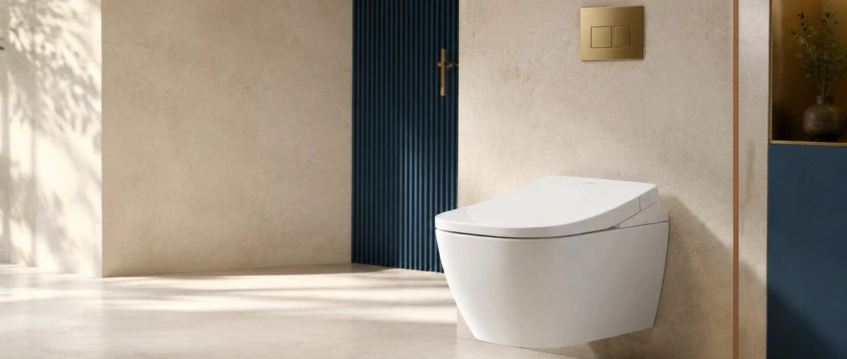 toilette japonaise suspendue