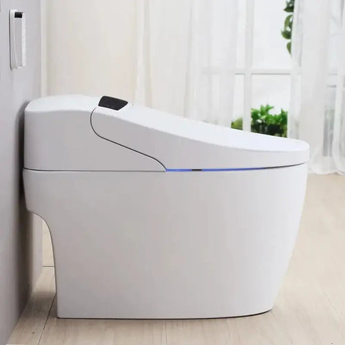 toptoilet platinium